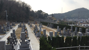 金山墓地