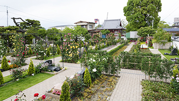 大興寺　佐賀ふれあいパーク