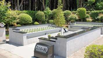 船橋メルヘンパーク　樹木葬墓地　こころの樹