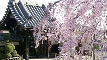 本長寺 長命殿