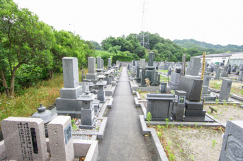 宝善院桜霊園