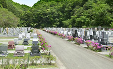 丹沢大山国定公園を望む四季折々の自然環境が美しい霊園風景