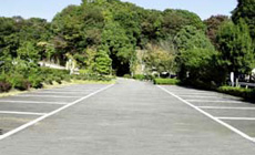 大型駐車場