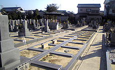墓地区画