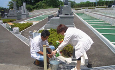 水道、バケツ、ゴミ箱も完備