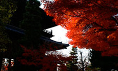 寺院内風景1