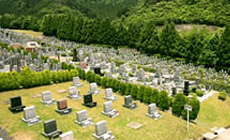 園内風景