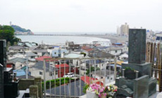 園内風景1