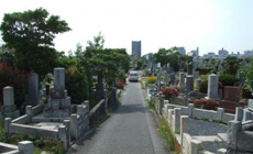広大な敷地の中は、園内を縦断するように道が通っています。