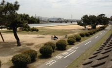 武庫川の下流域に臨む松林の借景が素敵です。