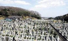 全景