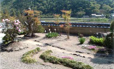 目の前には、周辺の野山とはまた違った四季を感じさせる境内の庭園がひろがります。