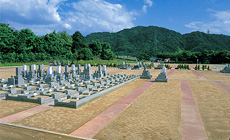新区画