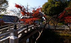 寺院内風景2