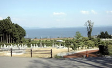 墓域