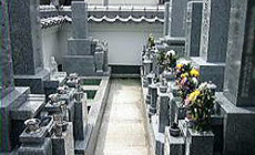 墓域