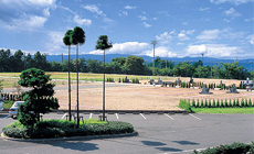 新区画