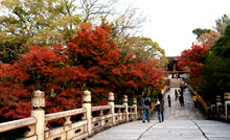 大谷本廟