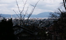 墓地からの風景