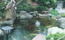 園内は明るくとても気持ち良くお参りできます