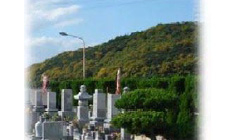 緑地帯を設け植樹しています。霊園には外灯を設置しています。