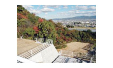 D3区（芝生墓地）