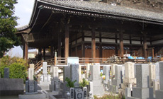 1.1聖地　セット墓地