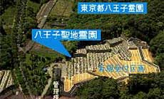 全景