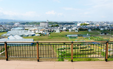 ウッドデッキより南西を望む