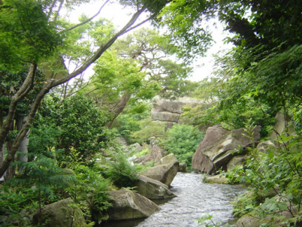 画像その1