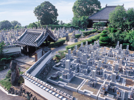 墓地区画