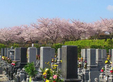 墓域