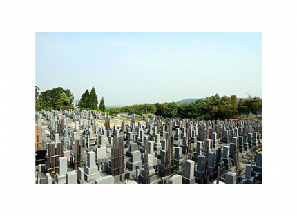 竹林の緑がすがすがしい墓地
