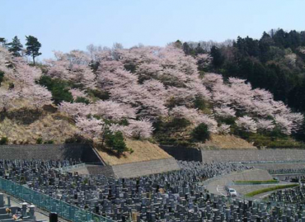 園内