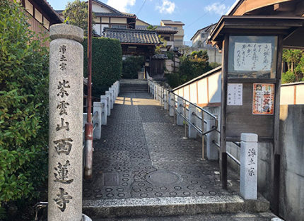 入口