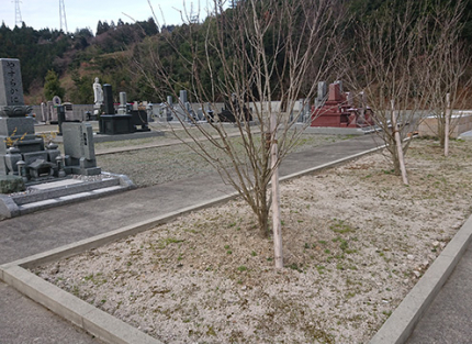 墓域