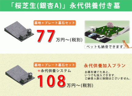 桜芝生地区。好評につき、残りわずかとなりました。中央にシンボルツリーの桜があり、桜を囲むように区画を配置。ご希望の方はお早めにお申し込みください。