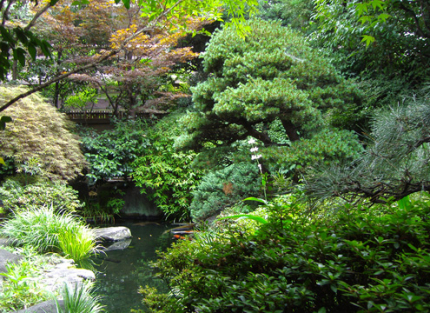 四季折々の自然が美しい庭園