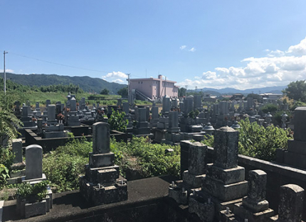 墓域