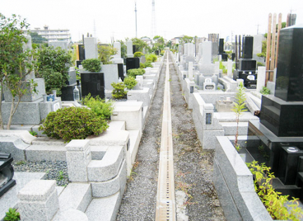 水はけ・日当たりが良い園内。