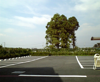 駐車場が隣接してお参りのしやすい墓苑です。