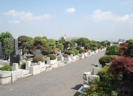 緑豊かで荘厳と風格のある設計