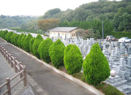 坂道や階段の少ない平坦地