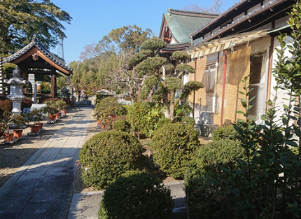 寺院境内
