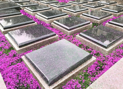 樹木葬