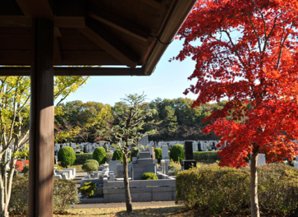 園内は至る所に植栽があり、季節を感じることができます。