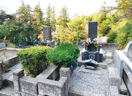 穏やかな時間が流れる落ち着いた雰囲気です。
