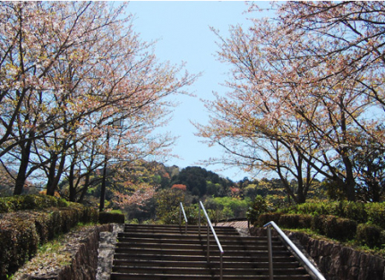 墓地風景