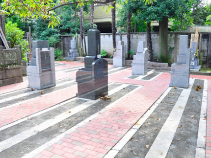 園内風景3