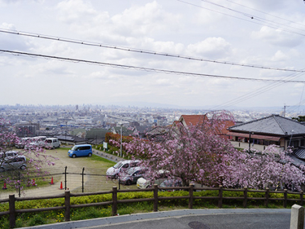 山門からの眺め